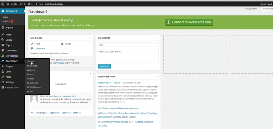 Install a WordPress theme
